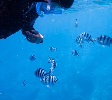 真栄田岬（青の洞窟）